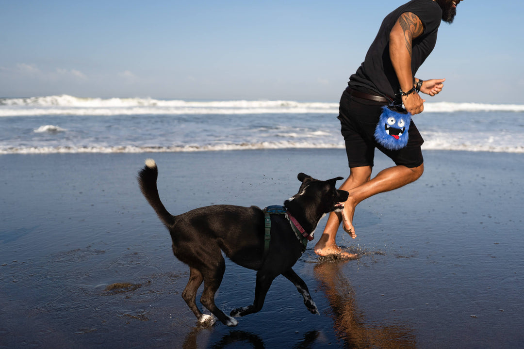 The dog walking bag designed to keep dog walking fun!