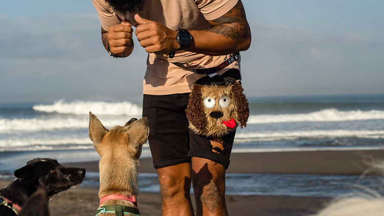 dog treat pouch