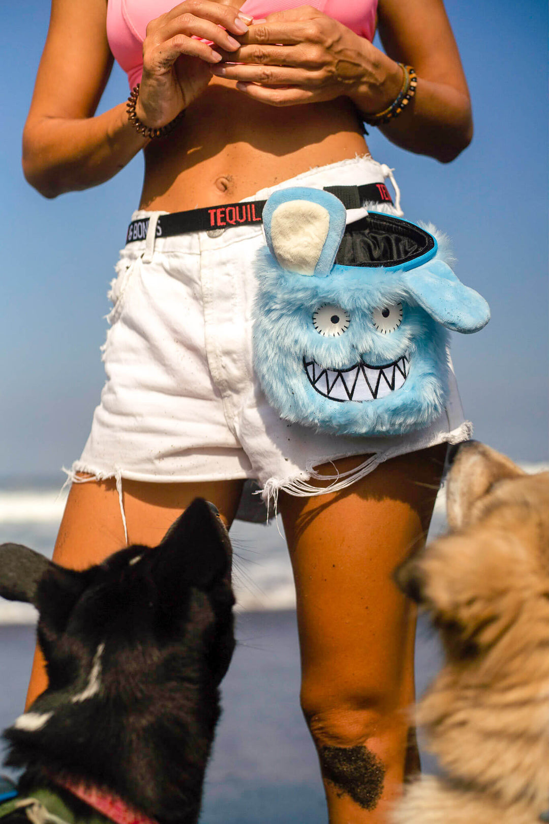 This dog treat bag is called REX. REX is our craziest training treat pouch.