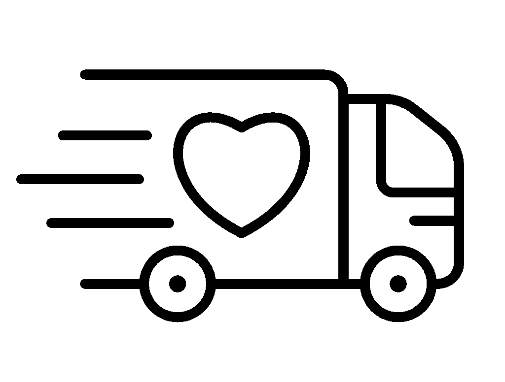 fast-delivery icon