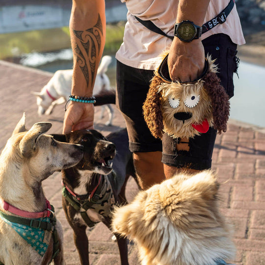 Dog training fun with Rusty the dog treat pouch from Tequila&Bones