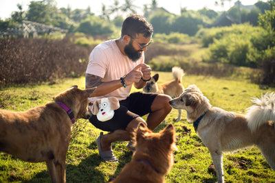 Treat Pouch Dog Training - How To Step Up Your Training Session