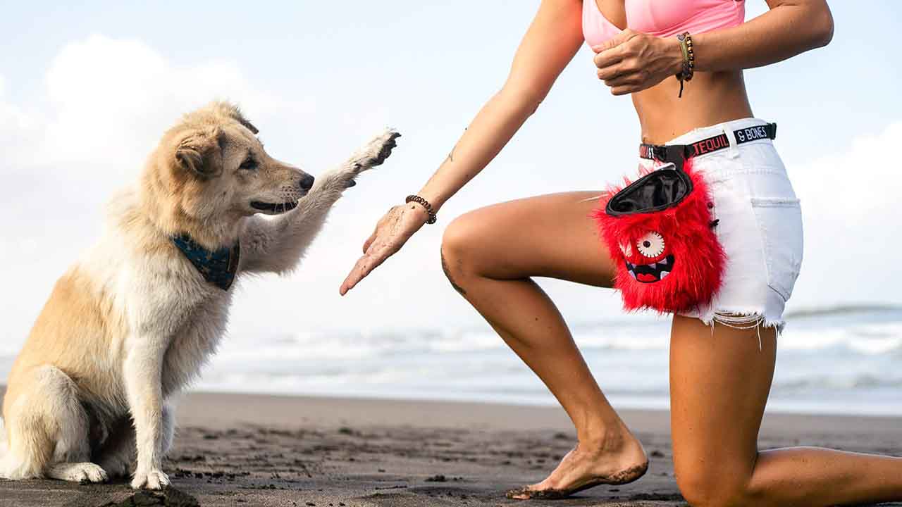 GIFTS FOR DOG MOMS