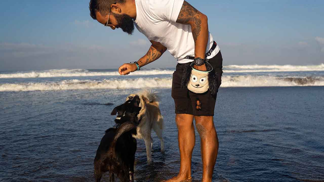 DOG TREAT POUCH