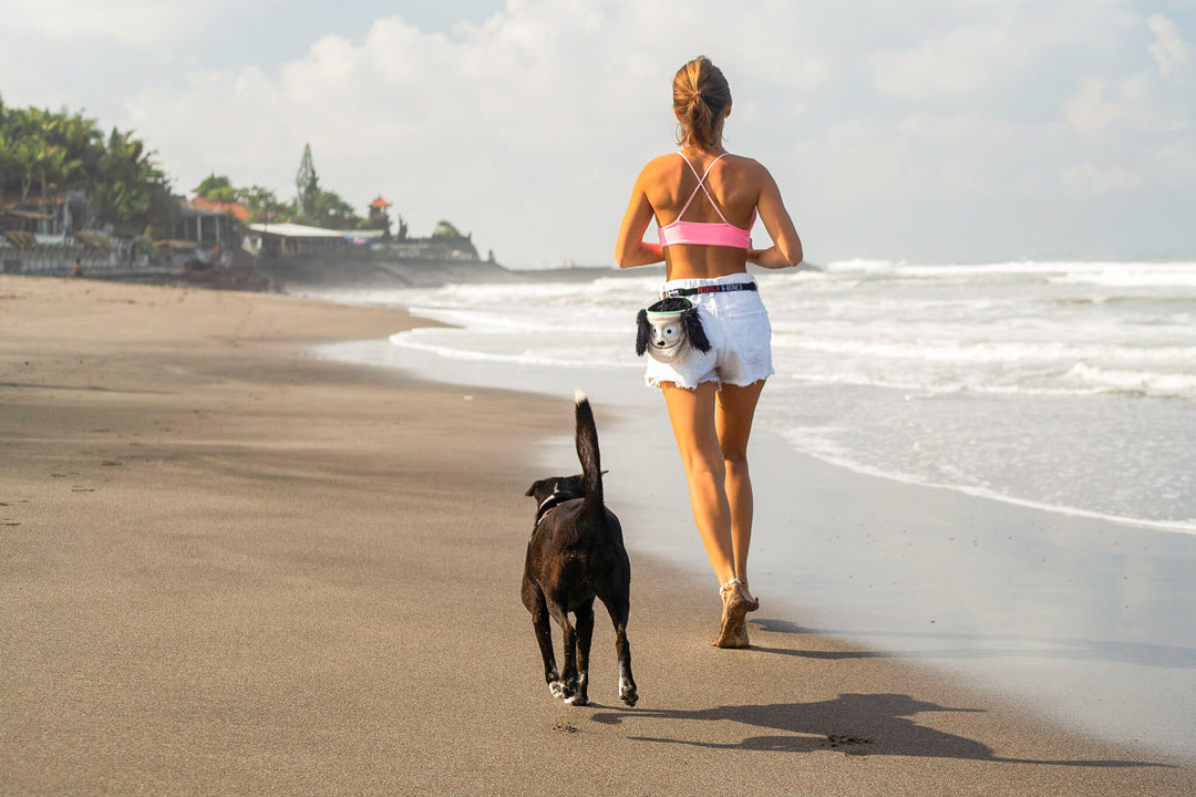 Dog training fun on a beach with the training treat pouches from Tequila & Bones