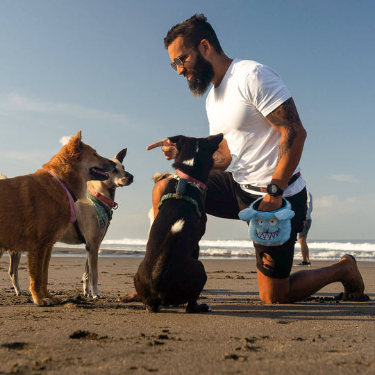 Dog training with Rex the dog treat pouch from Tequila&Bones