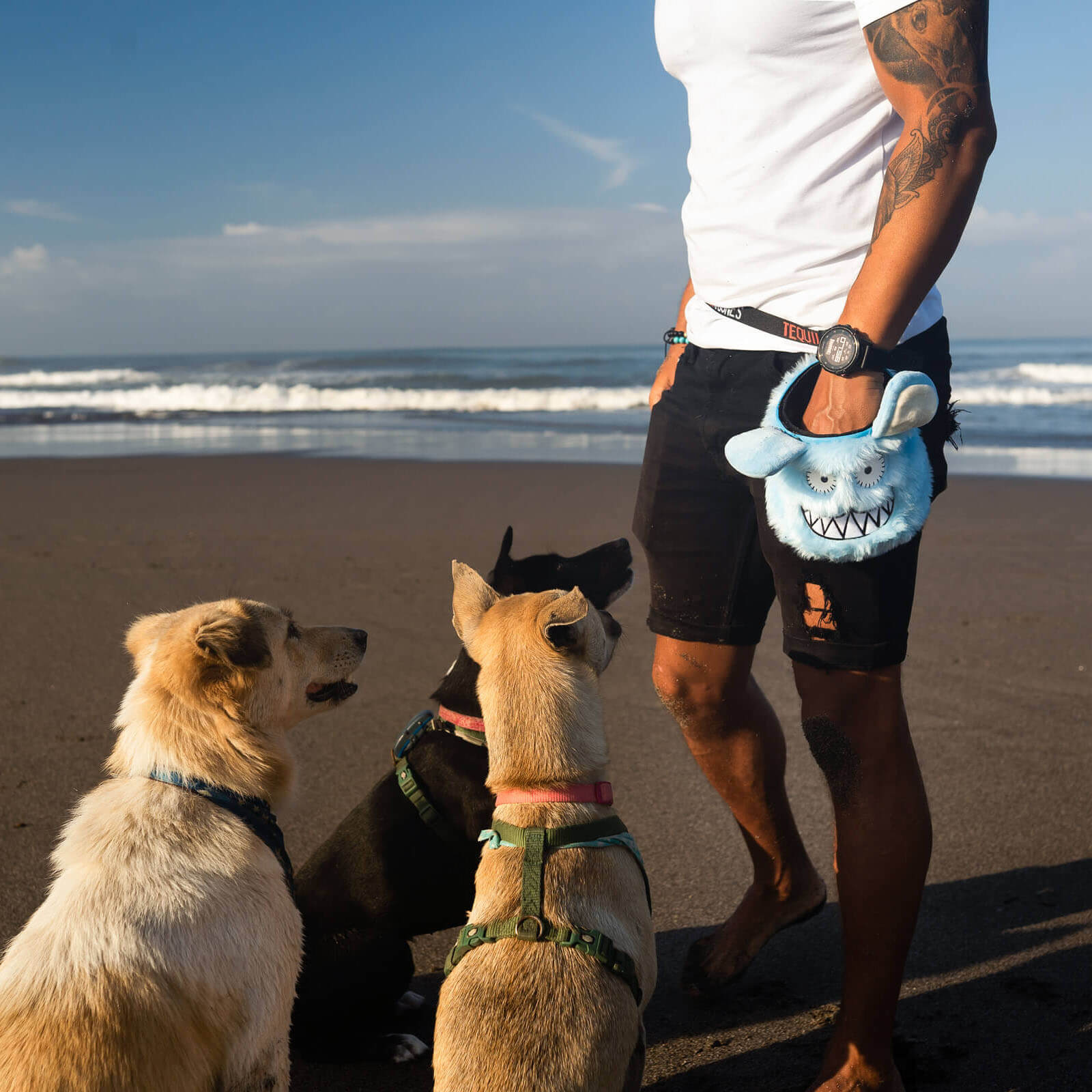 REX the dog pouch for treats – Tequila and Bones REX the dog pouch for treats – Tequila and Bones