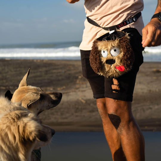 Rusty the dog treat pouch from Tequila&Bones in action