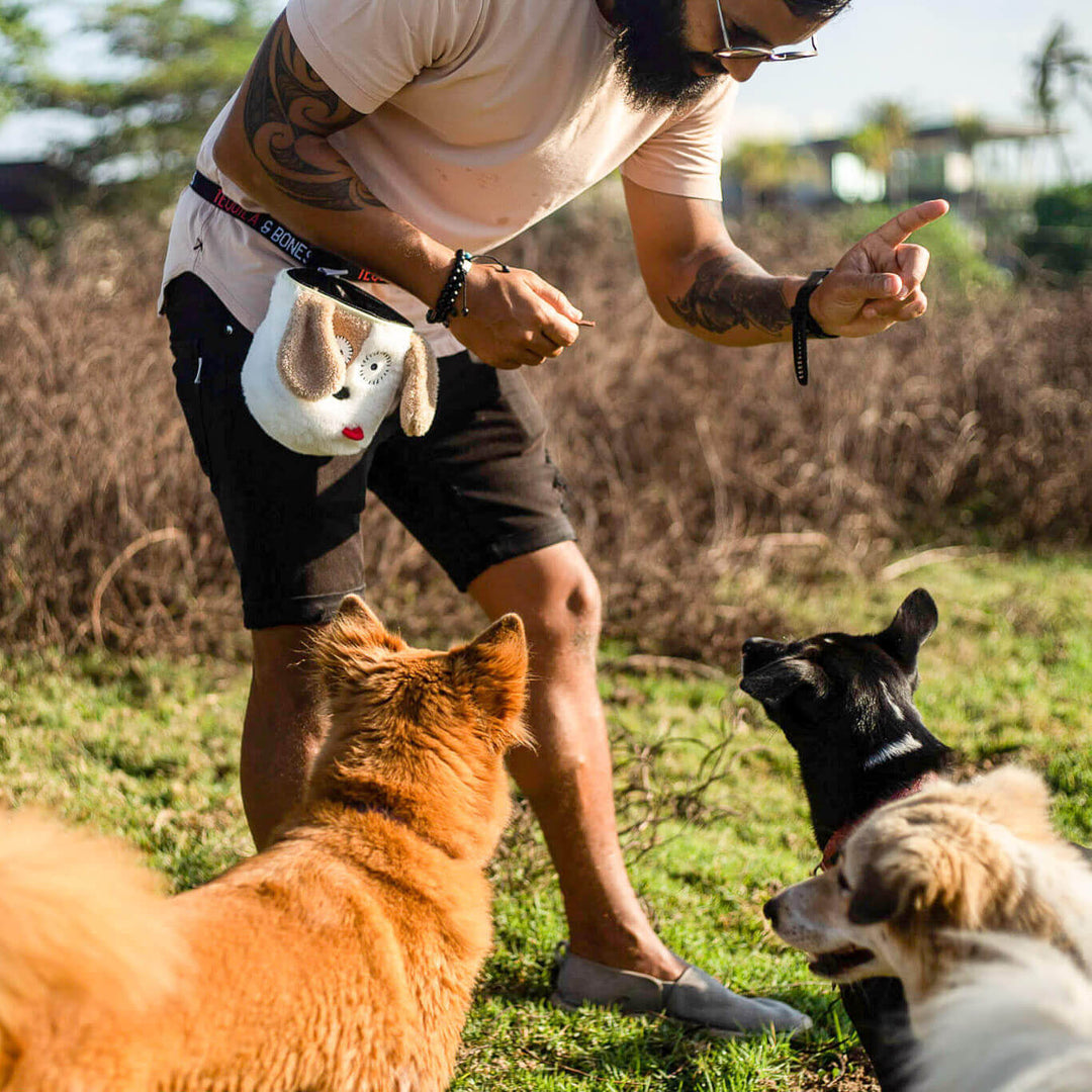 Whiskey the dog treat pouch from Tequila&Bones in action