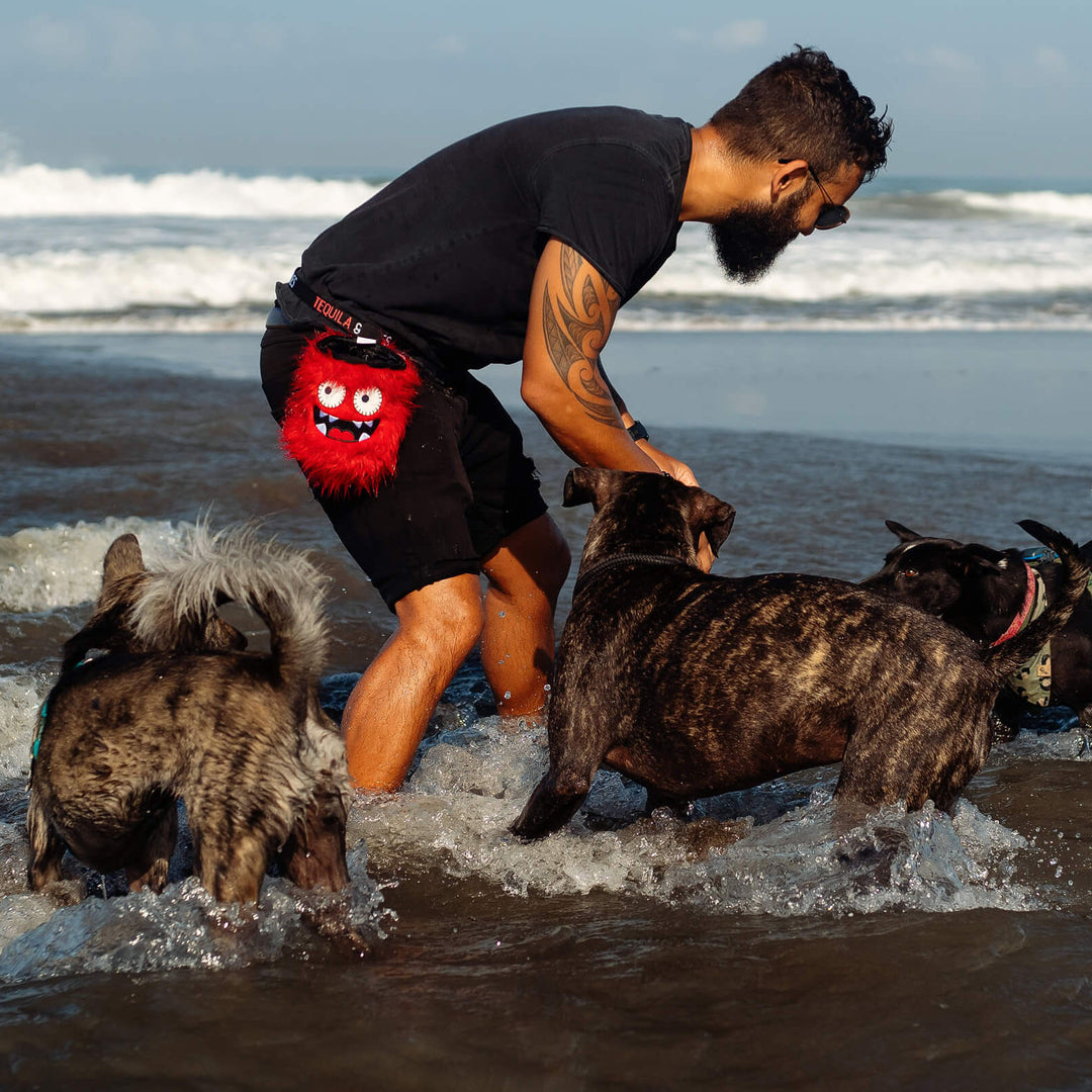 Dexter the dog treat pouch from Tequila&Bones with dogs on a beach