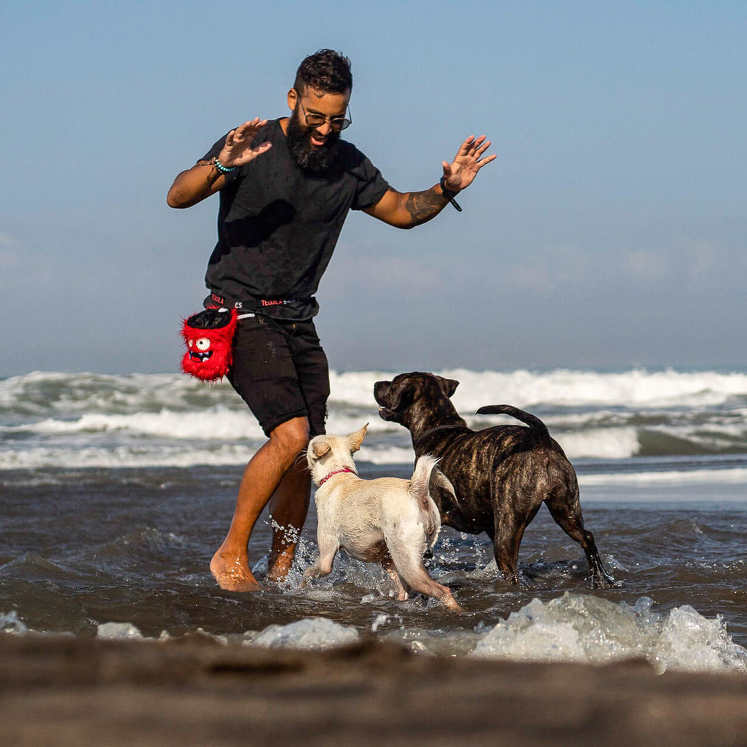 Dog training fun with Dexter the dog treat pouch from Tequila&Bones