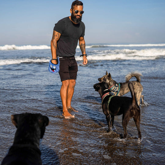 Chewy the dog treat pouch from Tequila&Bones with dogs on a beach