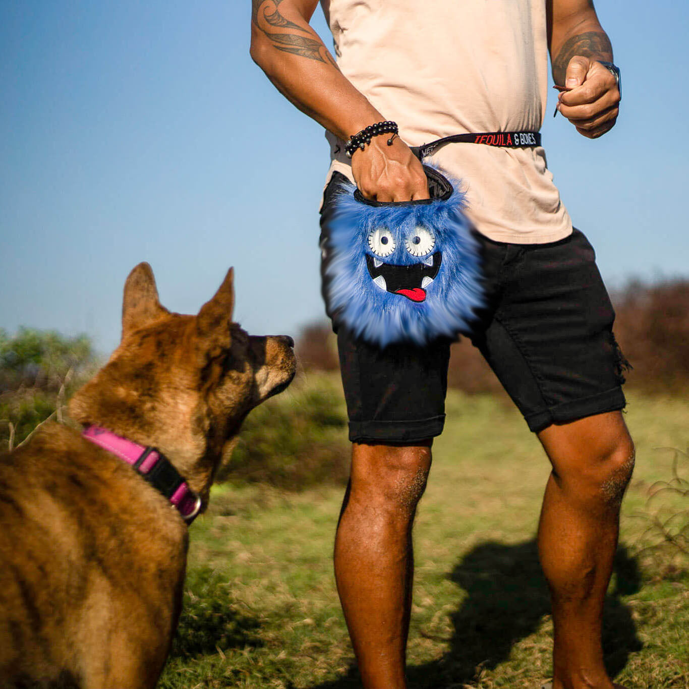 Dog training with Cheqy the dog treat pouch from Tequila and Bones